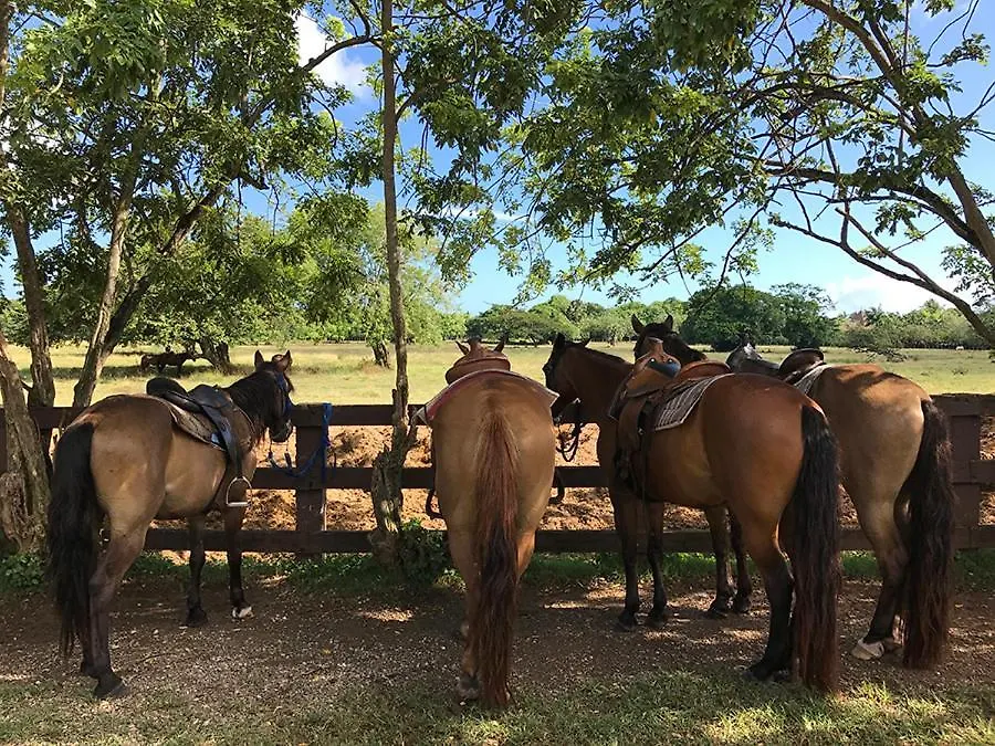 Sea Horse Ranch Villa La Mulata Dominican Republic